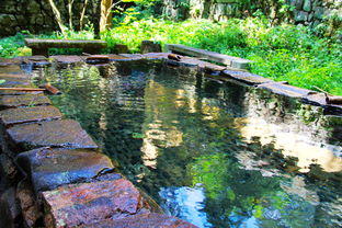 走進(jìn)臨安,名山和佛寺圖畫在眼前徐徐展開,還有新安江山水畫廊 黎陽老街