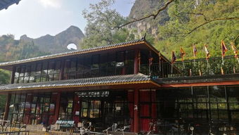 心儀遇龍河的山水,騎一輛電瓶車,去游陽朔的十里畫廊