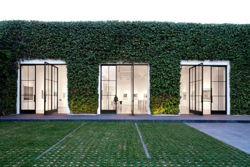 藝術市場通訊 青年藝術家市場持續增長, 無聊猿 創始人身份曝光,科馬畫廊代理藝術家陸揚