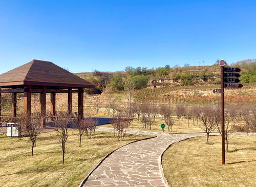 太行畫廊里的脫貧 黃金谷