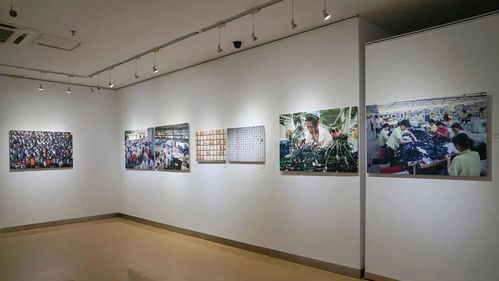 周末看展丨第七屆中國(guó)攝影年度排行榜上榜作品