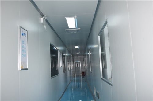 長(zhǎng)葛精致凈化車間操作簡(jiǎn)單,食品廠凈化車間