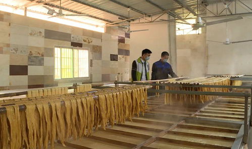 決戰決勝脫貧攻堅 龍川 農特產品搭乘 電商快車 ,貧困戶的 錢袋子 鼓起來了