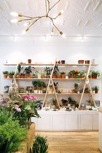 順義 共享際 我有4大法寶說愛你 丨佰仕動態