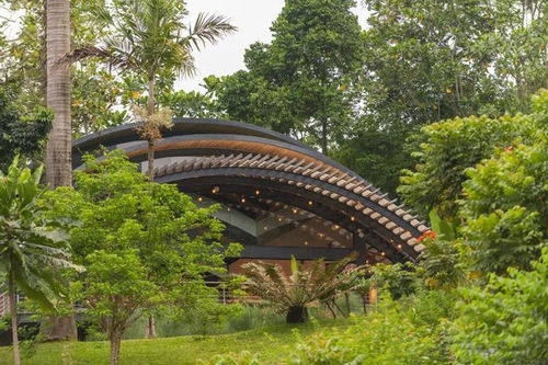 aberfoyle 旅館拱頂畫廊 architectural planning studio