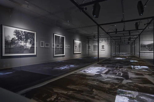 香格納畫廊 2020年度展覽回顧 上