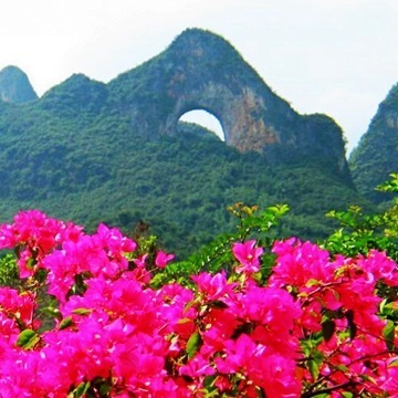 【旅行社批發(fā)團購桂林旅游線路大漓江+十里畫廊+世外桃源跟團一日游】價格,廠家,圖片,其他旅游服務(wù),桂林市龍發(fā)國際旅行社-