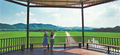 秋之色 美得讓人心動