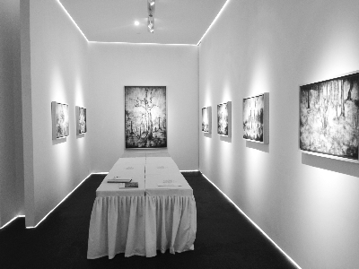 去歐洲推廣中國藝術,任重而道遠-張雄藝術網