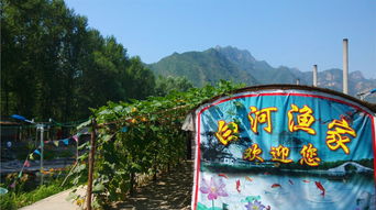 百里山水畫廊白河漁家預(yù)訂