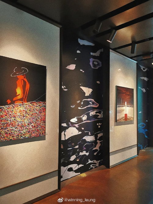 上海發(fā)現(xiàn) point of muse在nart畫廊開幕啦