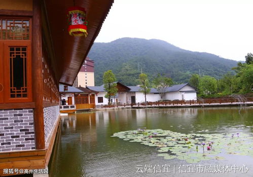 高州旁的這里山水美景,百越風情, 畫廊信宜 約你來