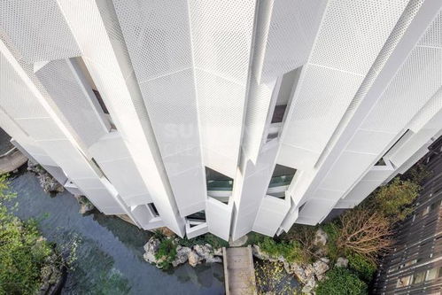 上海八分園 驚艷了時光