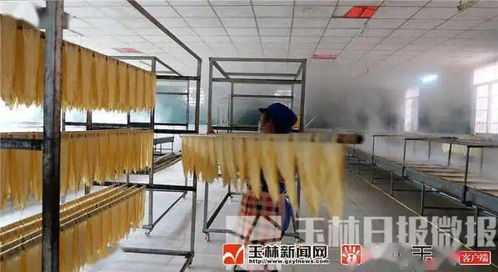 廣西容縣自良鎮雅山食品腐竹廠 容縣生活同城好店