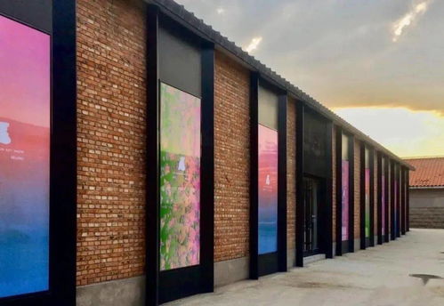 在美術館里延續(xù)2020 一場畫廊展的敘事與意義