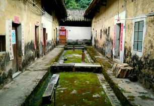 騎行在增江畫廊綠道上