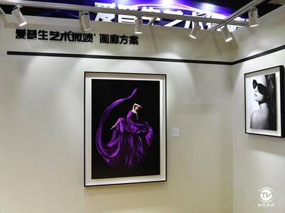 為專業圖像而生 愛普生攜大幅面打印機新品亮相P&E 畫廊