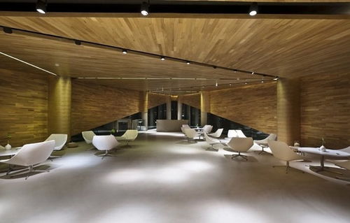 三角世界 天津三V畫廊的藝術探索